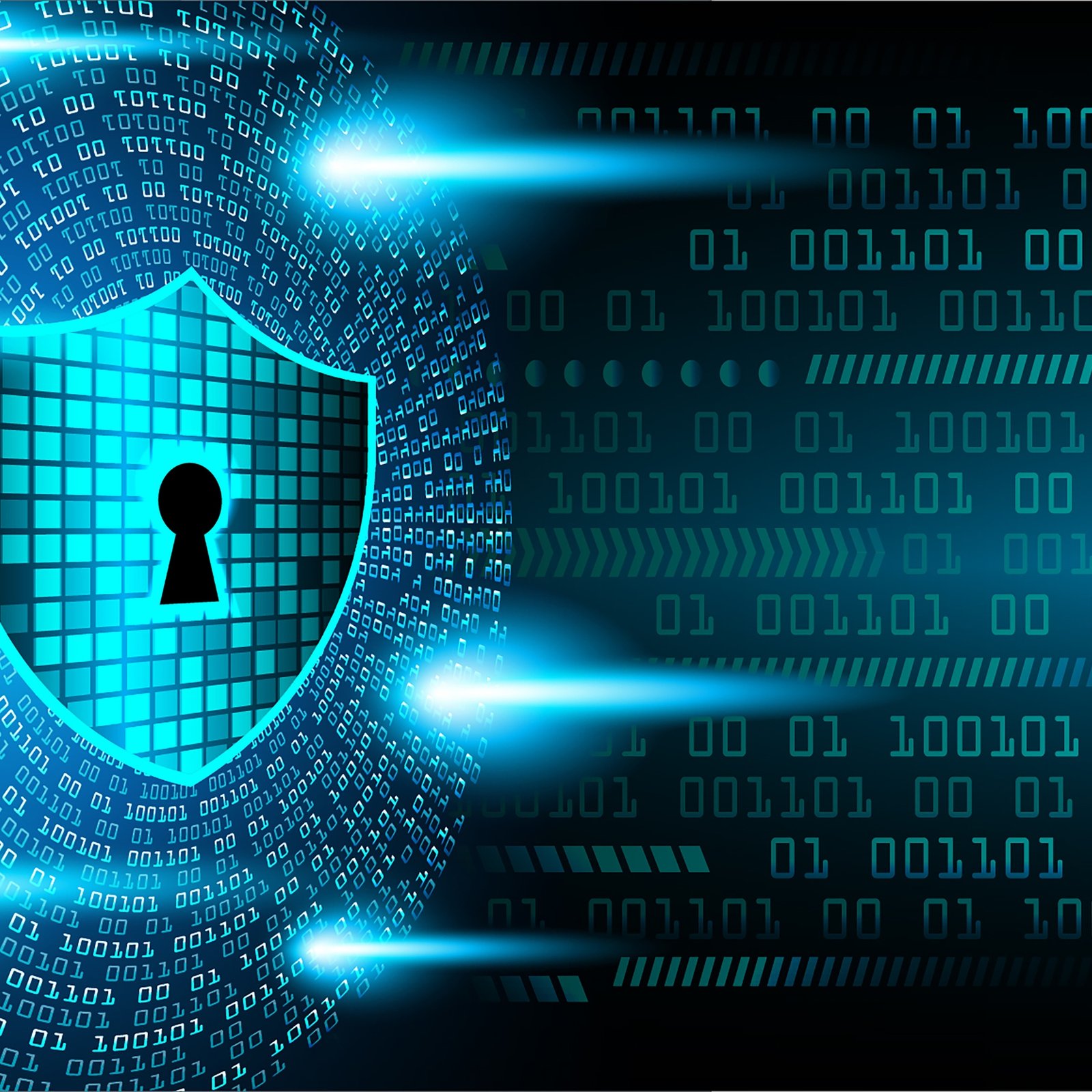 Network Management & Cybersecurity